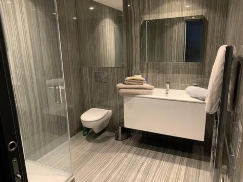 Amazing On Champs-elysees Apartment